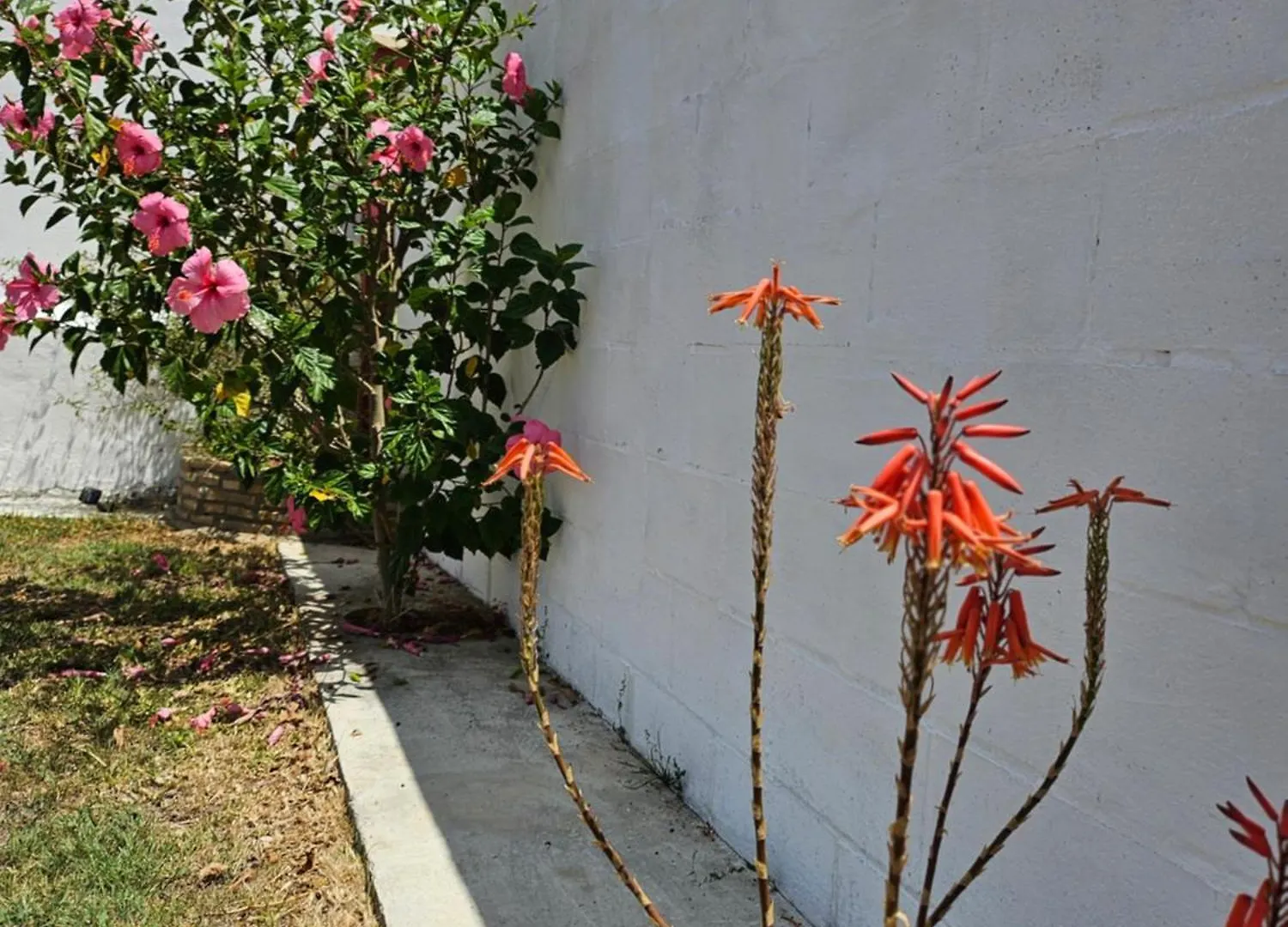 Villa Nonina Chiclana de la Frontera 0*,