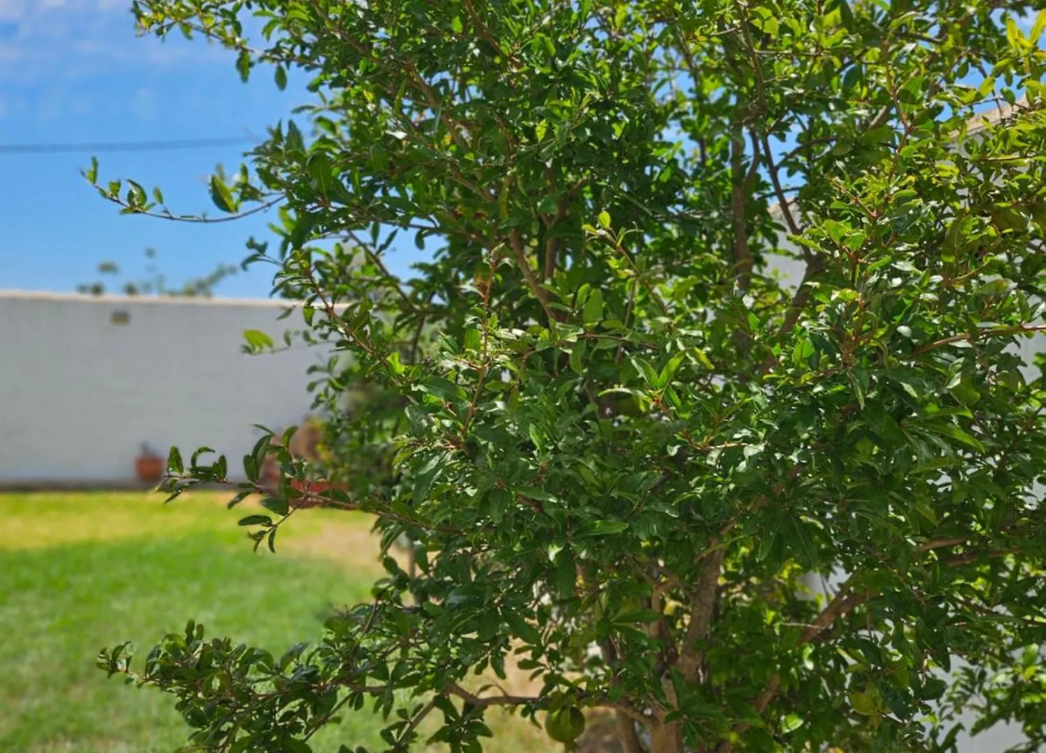 Villa Nonina Chiclana de la Frontera Сasa de vacaciones