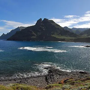 https://seor-polo-la-punta.in-canary-islands.com
